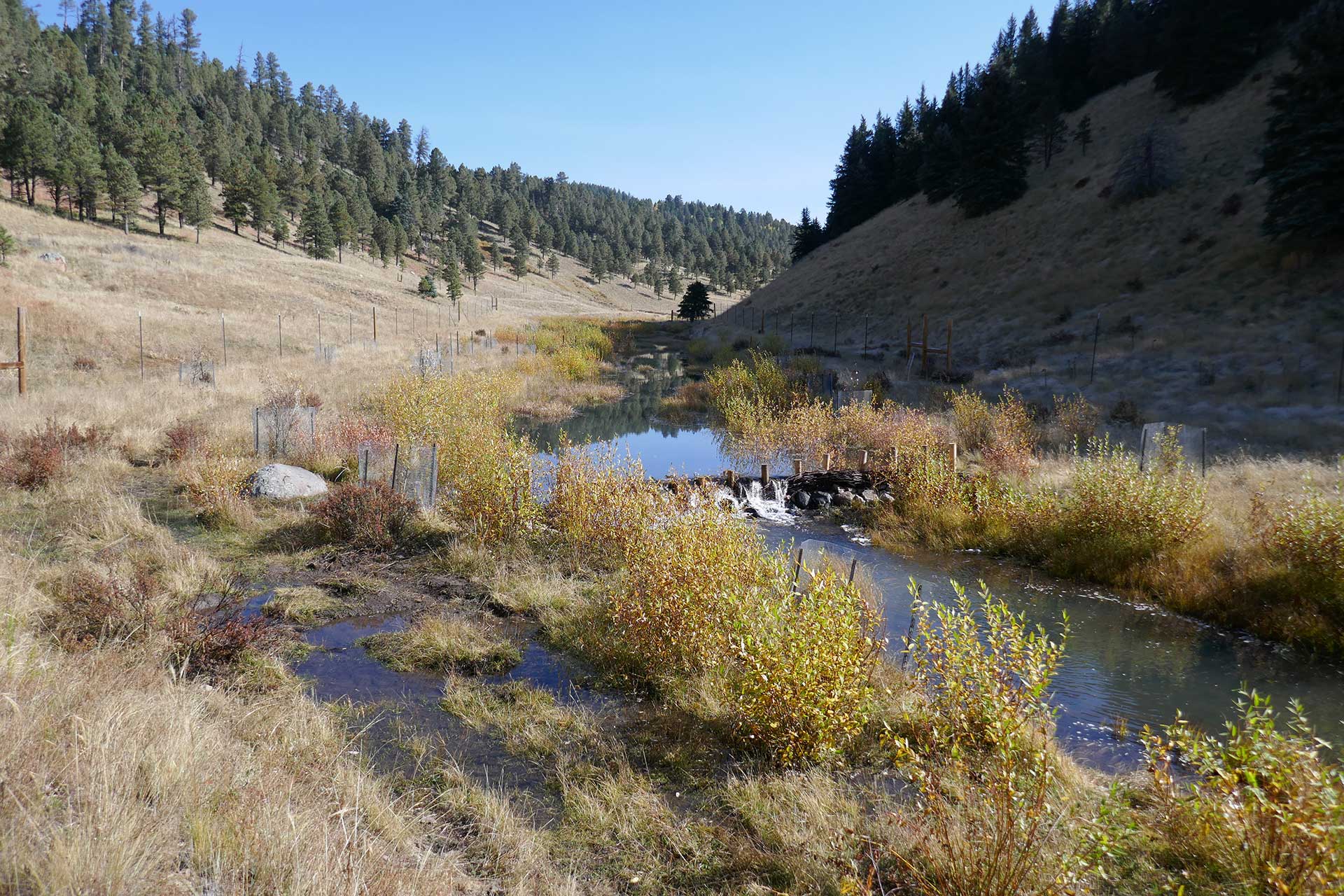 Resources - New Mexico Beaver Project