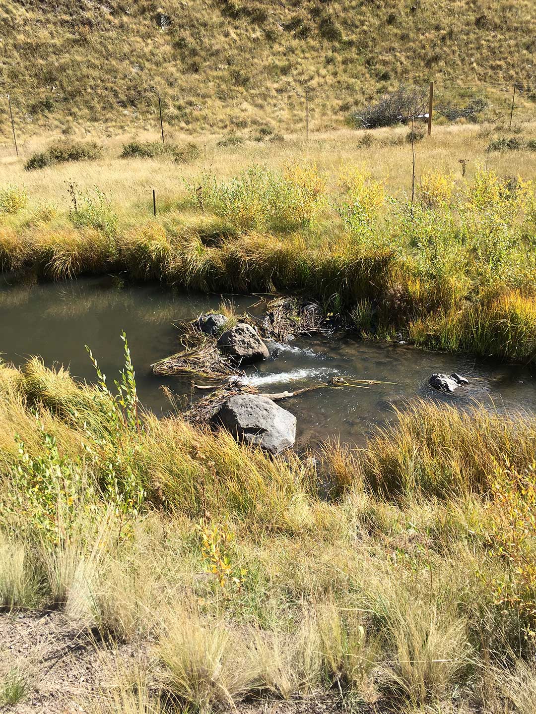 Resources - New Mexico Beaver Project