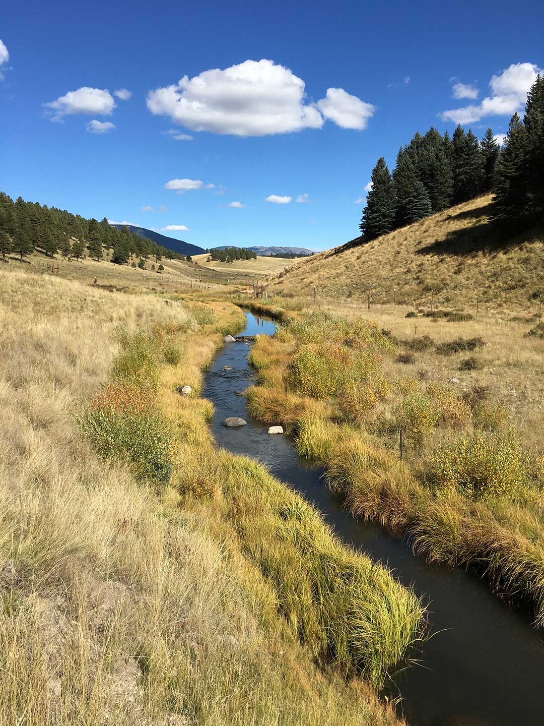 Resources - New Mexico Beaver Project