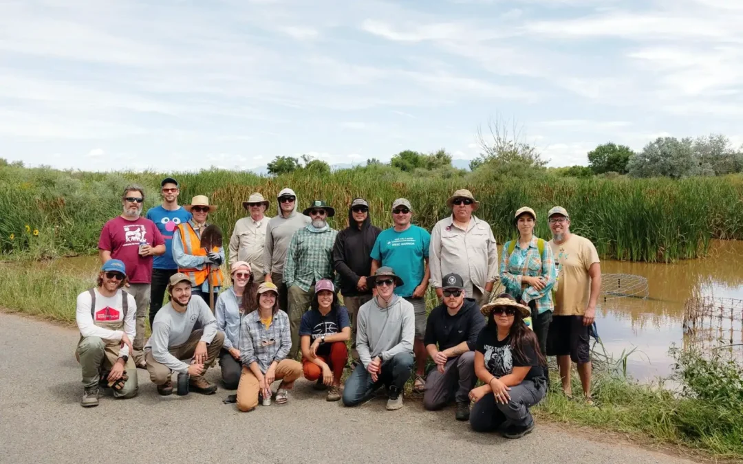 2025 was a BIG year for the New Mexico Beaver Project