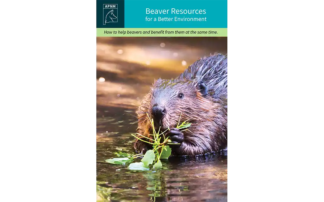 Beaver Resources for a Better Environment
